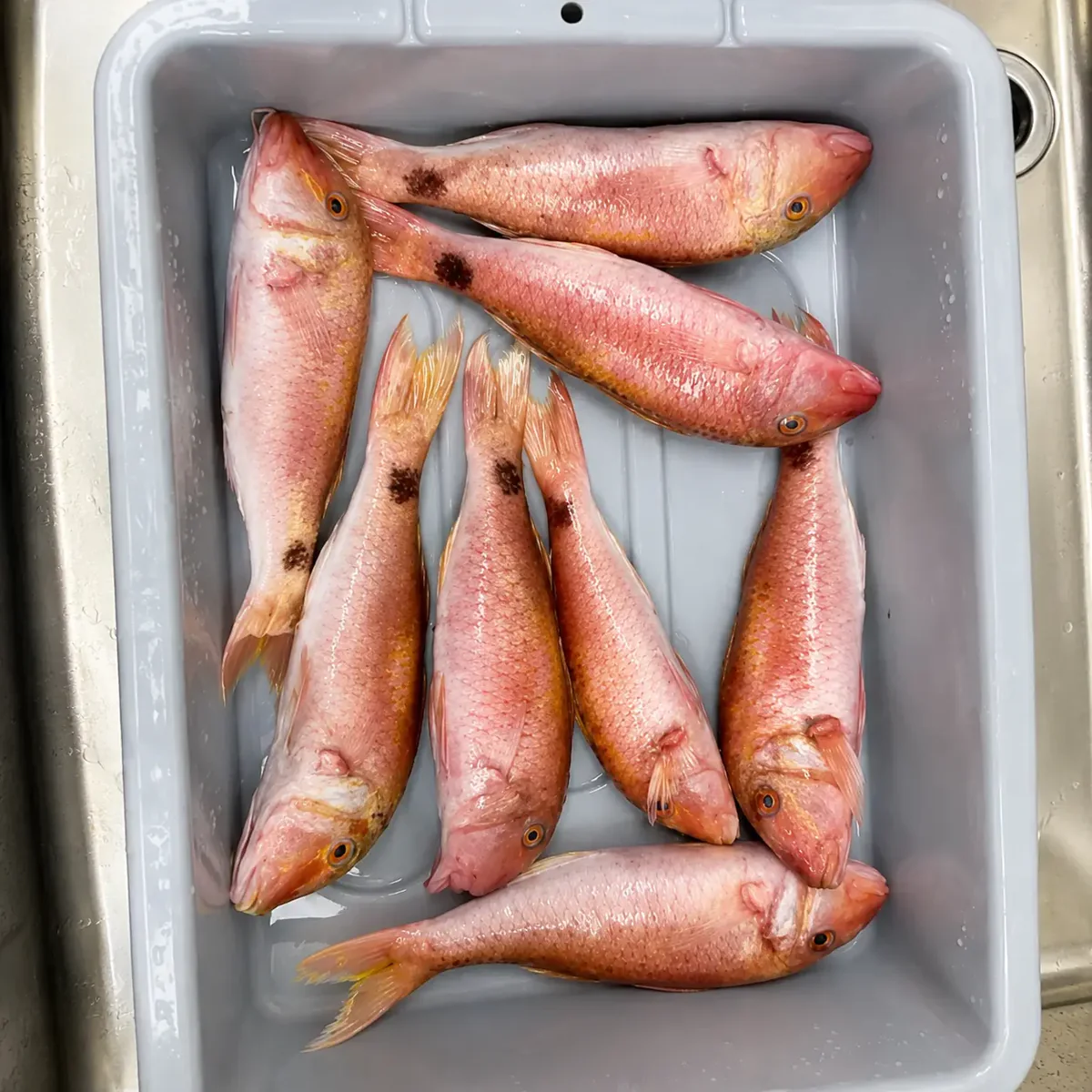 1cf201c5-616a-4aa2-807b-a6ef2f56e459 Red Mullet - Fresh (per 500g) - Image 1
