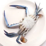 Blue Swimmer Crab Whole Frozen Approx 450g