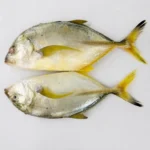 Yellow Travelly Fish – Fresh (per 500g)