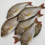 Emperor Fish – Fresh (per 500g)