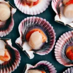 King Scallops Half Shell Frozen 1kg