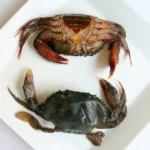 Soft Shell Crab Frozen 1kg