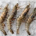 Whole Black Tiger Prawns Large Raw Frozen 16/20 800g