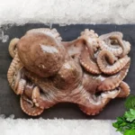 Octopus Whole Frozen 800g+
