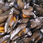 PEI Mussels (per 500g)