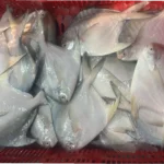 Silver Pomfret – Fresh (per 500g)